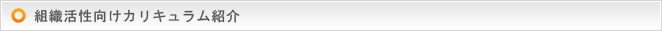 組織活性向けカリキュラム紹介