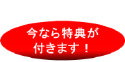 ȂTt܂